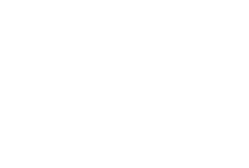 Suzuki Logo